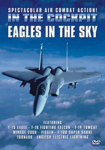 In The Cockpit - Eagles In The Sky