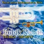 Relax with instrumental hits - Trubka